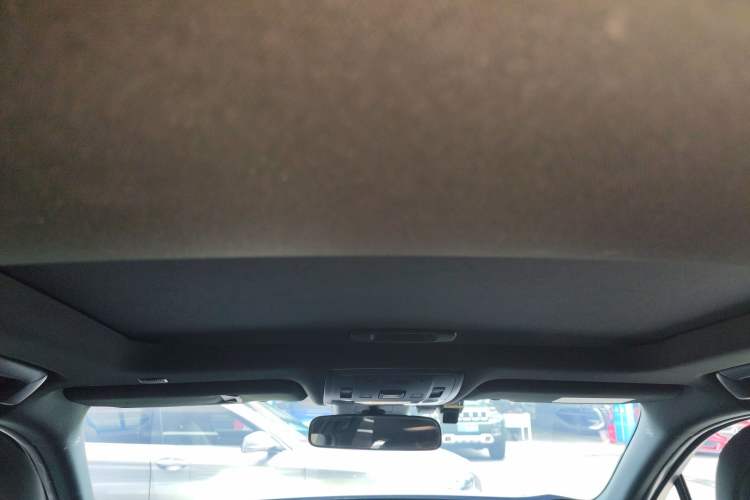 Used Lexus UX New Energy 2020 300e Pure·Joy Edition Headliner