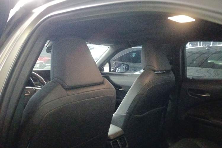 Used Lexus UX New Energy 2020 300e Pure·Joy Edition Headliner