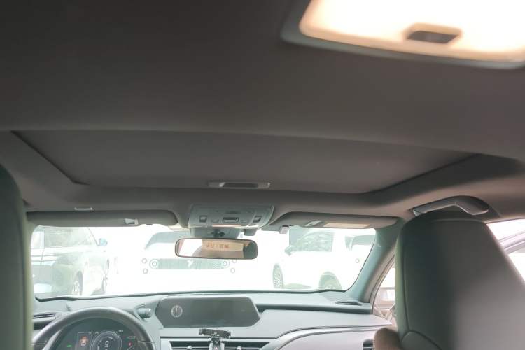 Used Lexus UX New Energy 2020 300e Pure·Joy Edition Headliner