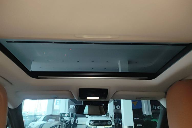 Used Lexus UX New Energy 2020 300e Pure·Enjoy Edition Headliner