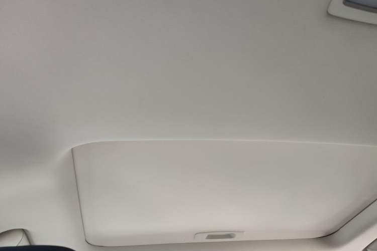 Used Lexus UX New Energy 2020 300e Pure·Joy Edition Headliner