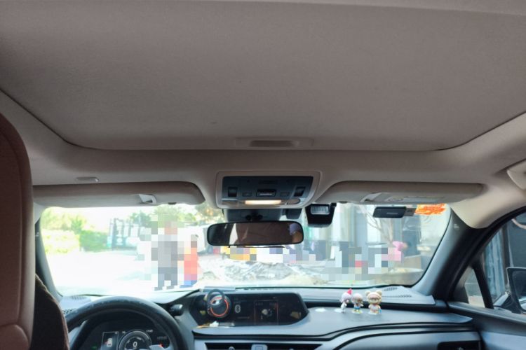 Used Lexus UX New Energy 2020 300e Pure·Joy Edition Headliner