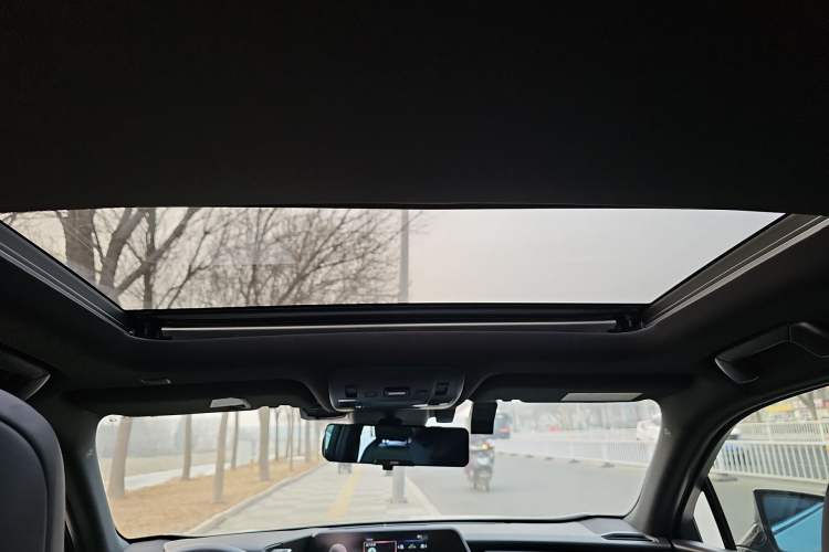 Used Lexus UX New Energy 2020 300e Pure·Joy Edition Headliner