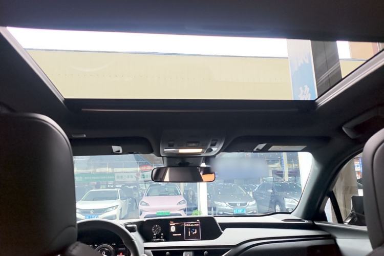 Used Lexus UX New Energy 2020 300e Pure·Joy Edition Headliner