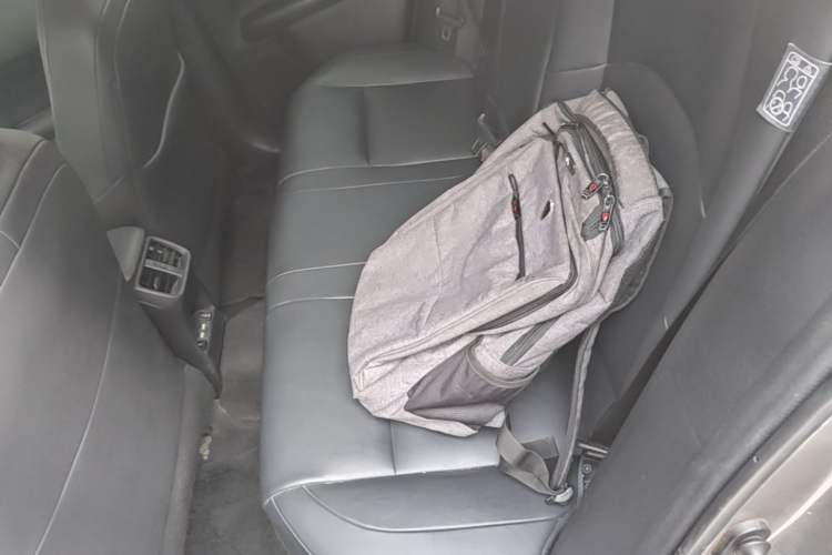Used Lexus UX New Energy 2020 300e Pure·Enjoy Edition Left Rear Seat