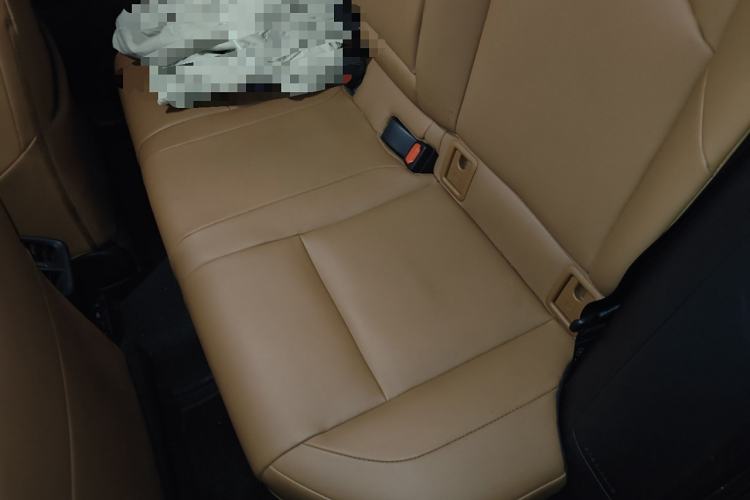 Used Lexus UX New Energy 2020 300e Pure·Joy Edition Left Rear Seat