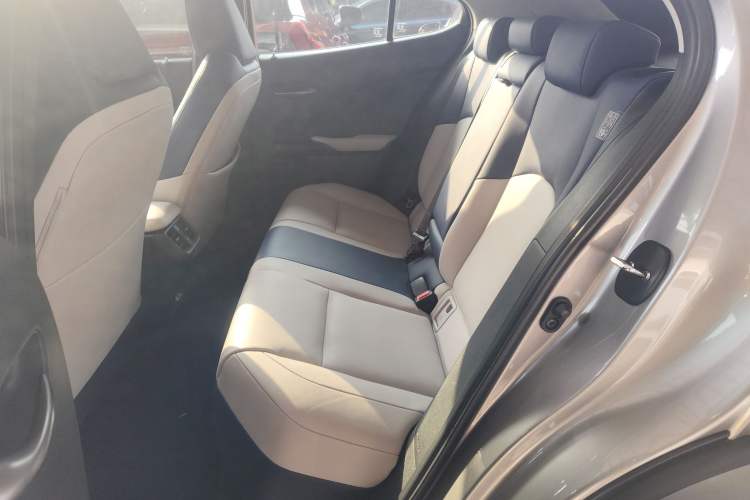 Used Lexus UX New Energy 2020 300e Pure·Enjoy Edition Left Rear Seat