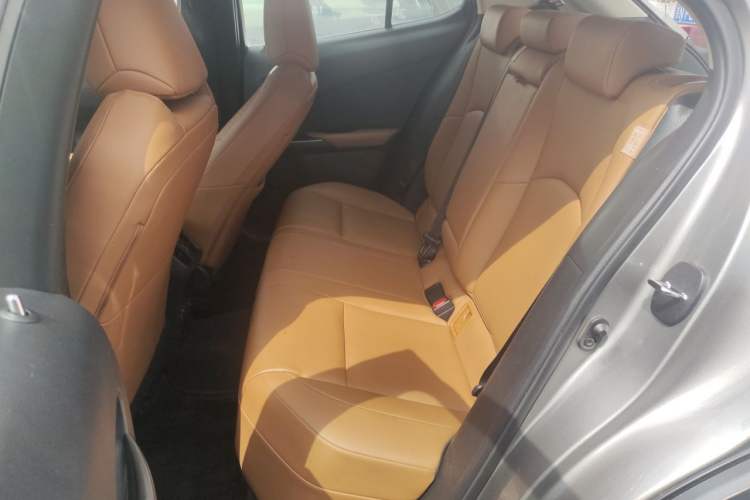Used Lexus UX New Energy 2020 300e Pure·Joy Edition Left Rear Seat