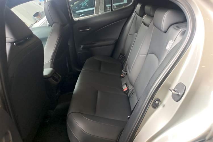 Used Lexus UX New Energy 2020 300e Pure·Joy Edition Left Rear Seat