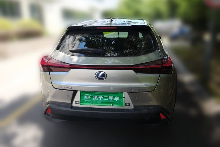 Used Lexus UX New Energy 2020 300e Pure·Joy Edition Rear