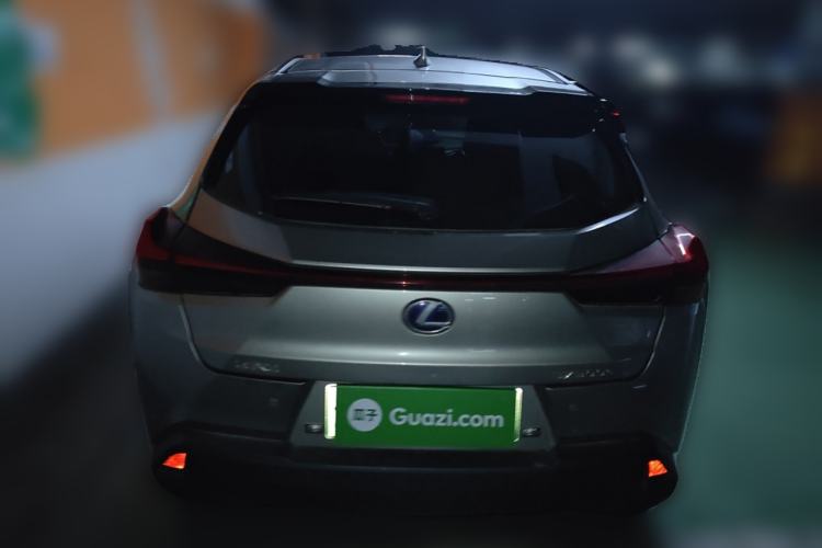 Used Lexus UX New Energy 2020 300e Pure·Joy Edition Rear