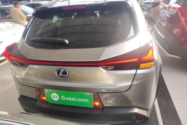 Used Lexus UX New Energy 2020 300e Pure·Enjoy Edition Rear
