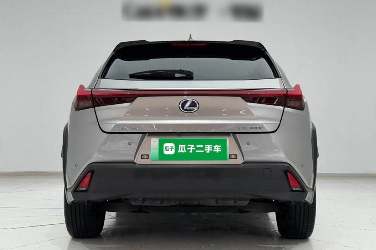 Used Lexus UX New Energy 2020 300e Pure·Enjoy Edition Rear