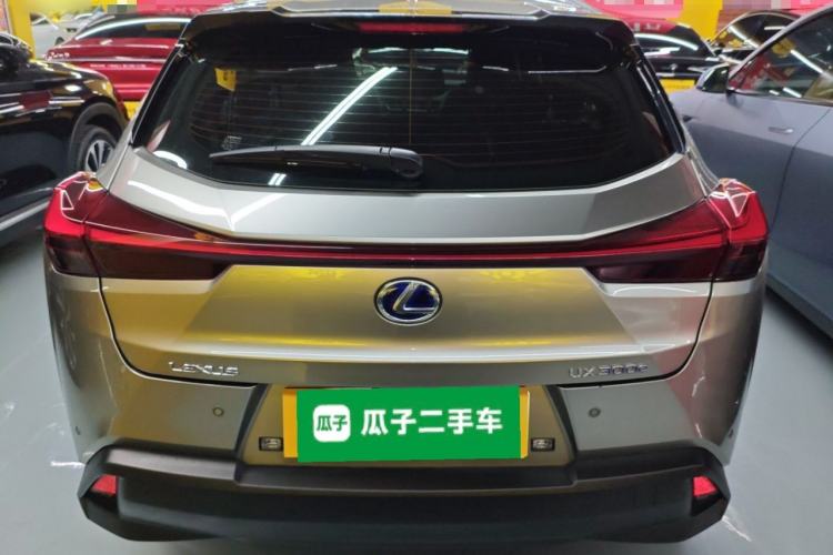 Used Lexus UX New Energy 2020 300e Pure·Joy Edition Rear