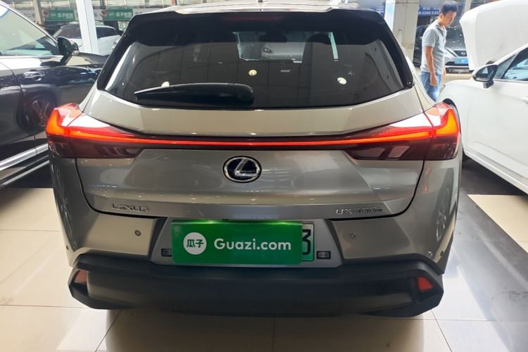 Used Lexus UX New Energy 2020 300e Pure·Joy Edition Rear