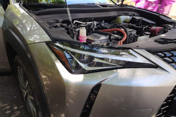 Used Lexus UX New Energy 2020 300e Pure·Joy Edition Right Front Headlight
