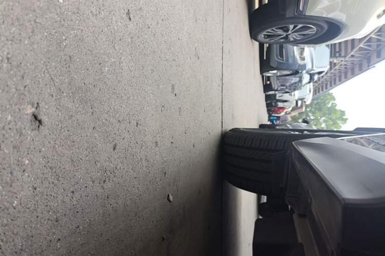 Used Lexus UX New Energy 2020 300e Pure·Enjoy Edition Right Side Sill