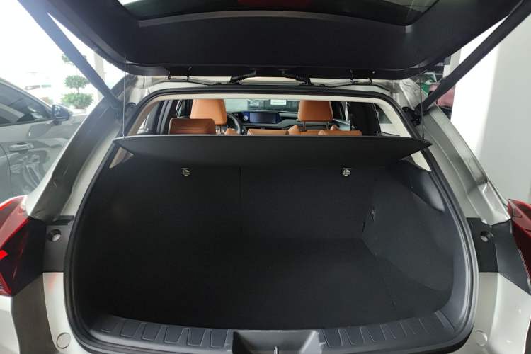 Used Lexus UX New Energy 2020 300e Pure·Enjoy Edition Trunk