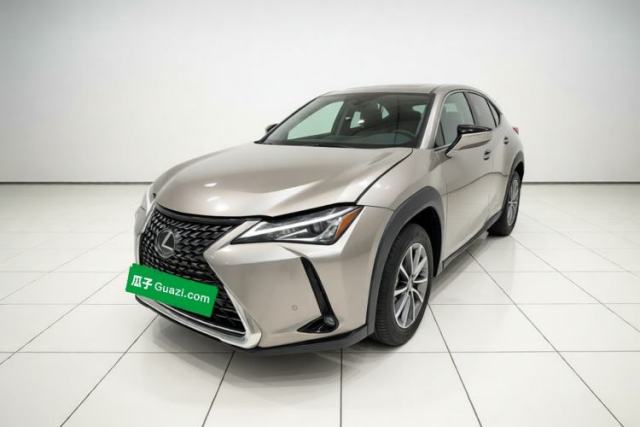 Lexus UX New Energy 2020 300e Pure·Joy Edition usado