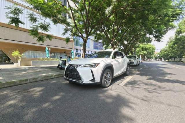 Used Lexus UX New Energy 2020 300e Pure·Joy Edition