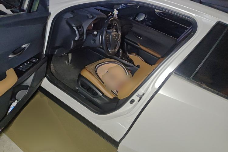Used Lexus UX New Energy 2020 300e Pure·Joy Edition Driver Seat