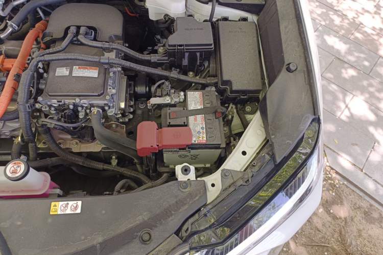 Used Lexus UX New Energy 2020 300e Pure·Joy Edition Engine Bay Left