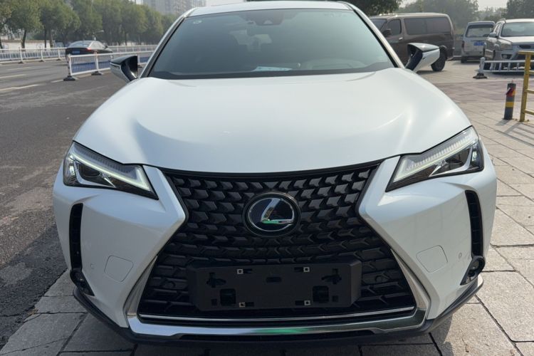 Used Lexus UX New Energy 2020 300e Pure·Joy Edition Exterior 1