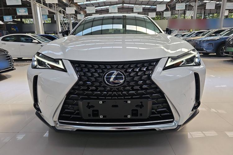 Used Lexus UX New Energy 2020 300e Pure·Joy Edition Exterior 1