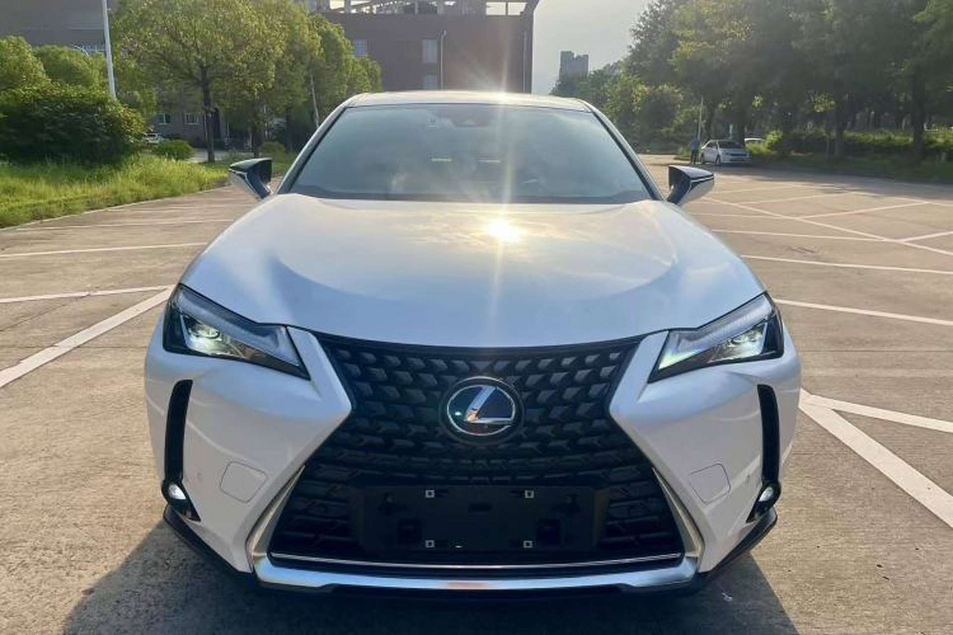 Used Lexus UX New Energy 2020 300e Pure·Enjoy Edition Exterior 1