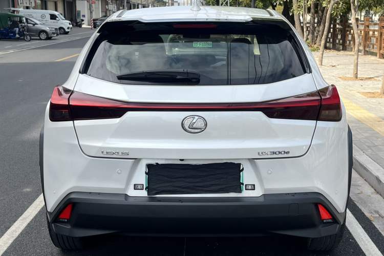 Used Lexus UX New Energy 2020 300e Pure·Joy Edition Exterior 4