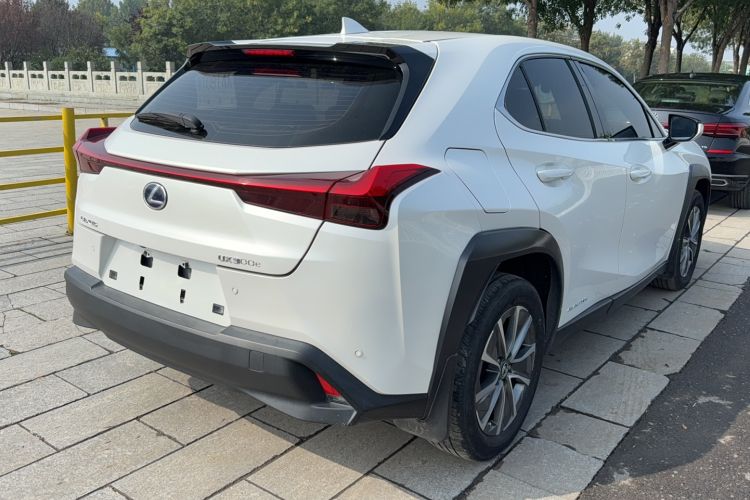 Used Lexus UX New Energy 2020 300e Pure·Joy Edition Exterior 4