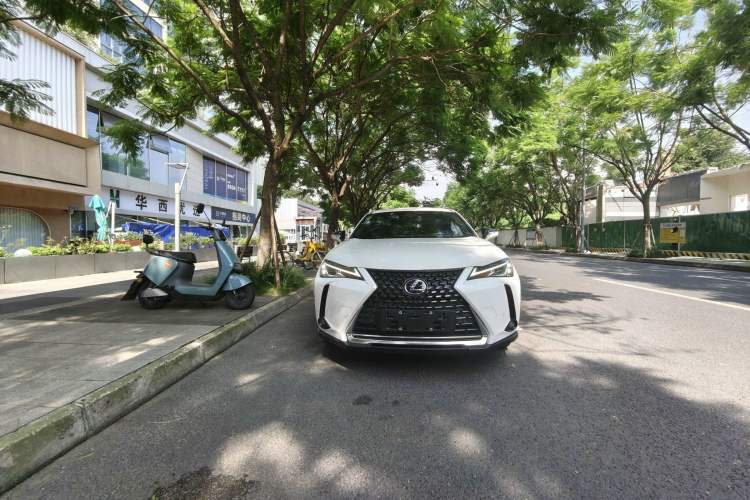 Used Lexus UX New Energy 2020 300e Pure·Joy Edition Exterior 4