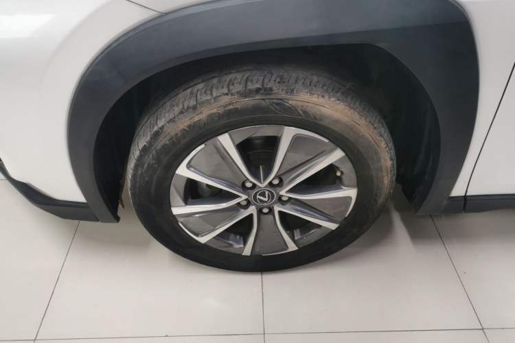 Used Lexus UX New Energy 2020 300e Pure·Joy Edition Exterior 4