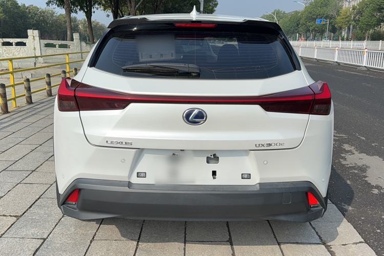 Used Lexus UX New Energy 2020 300e Pure·Joy Edition Exterior 5
