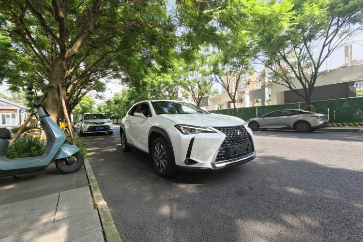 Used Lexus UX New Energy 2020 300e Pure·Joy Edition Exterior 5