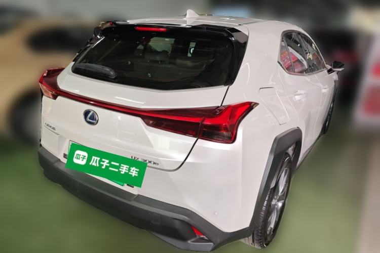 Used Lexus UX New Energy 2020 300e Pure·Joy Edition Exterior 5