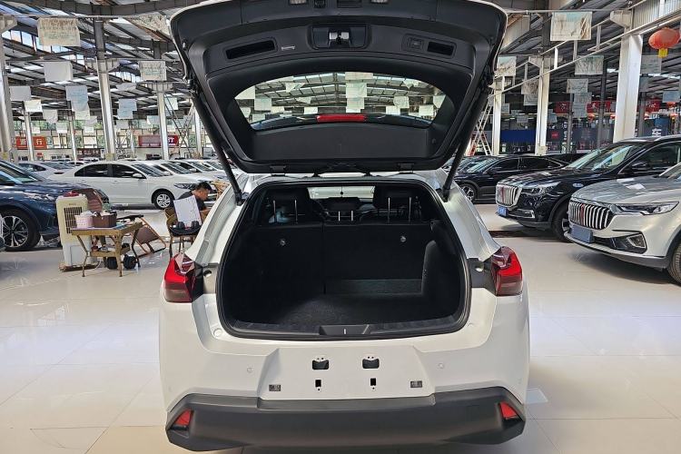 Used Lexus UX New Energy 2020 300e Pure·Joy Edition Exterior 5