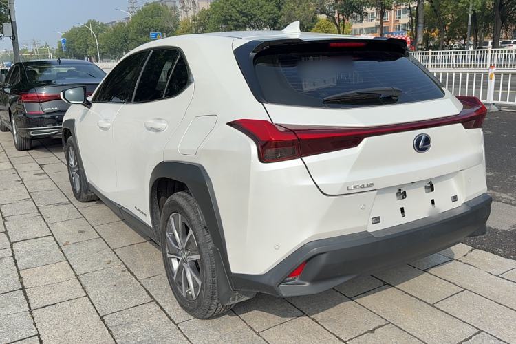 Used Lexus UX New Energy 2020 300e Pure·Joy Edition Exterior 6