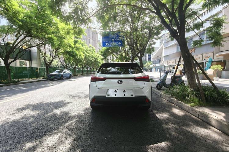 Used Lexus UX New Energy 2020 300e Pure·Joy Edition Exterior 6
