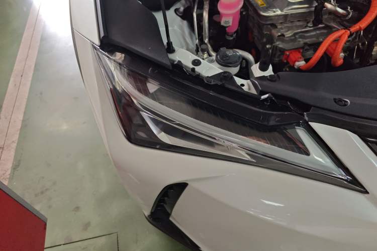 Used Lexus UX New Energy 2020 300e Pure·Joy Edition Exterior 6