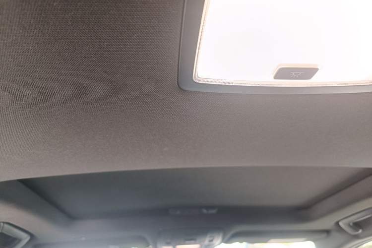 Used Lexus UX New Energy 2020 300e Pure·Joy Edition Headliner