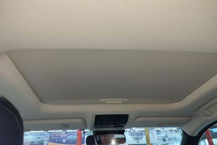 Used Lexus UX New Energy 2020 300e Pure·Joy Edition Headliner