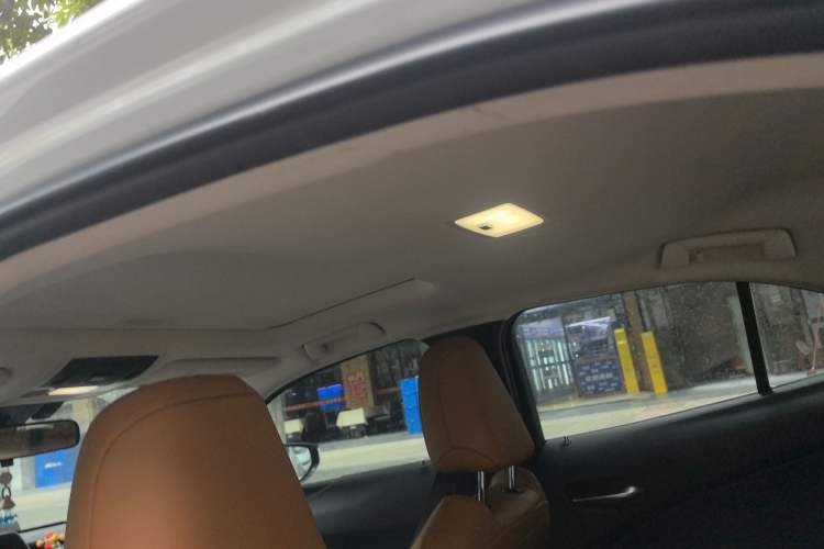 Used Lexus UX New Energy 2020 300e Pure·Joy Edition Headliner
