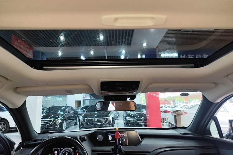 Used Lexus UX New Energy 2020 300e Pure·Joy Edition Headliner