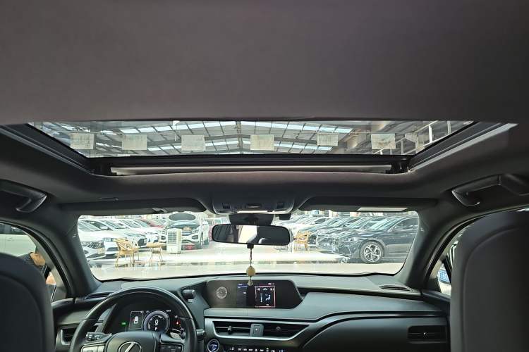 Used Lexus UX New Energy 2020 300e Pure·Joy Edition Headliner