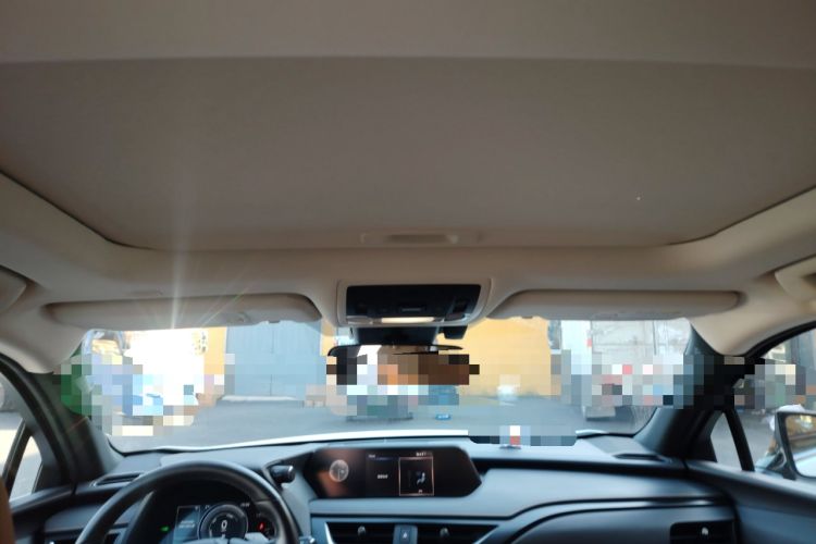 Used Lexus UX New Energy 2020 300e Pure·Joy Edition Headliner