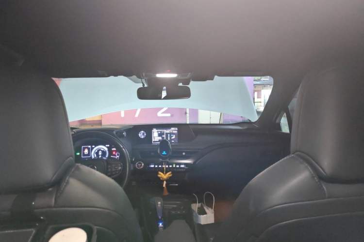 Used Lexus UX New Energy 2020 300e Pure·Joy Edition Headliner
