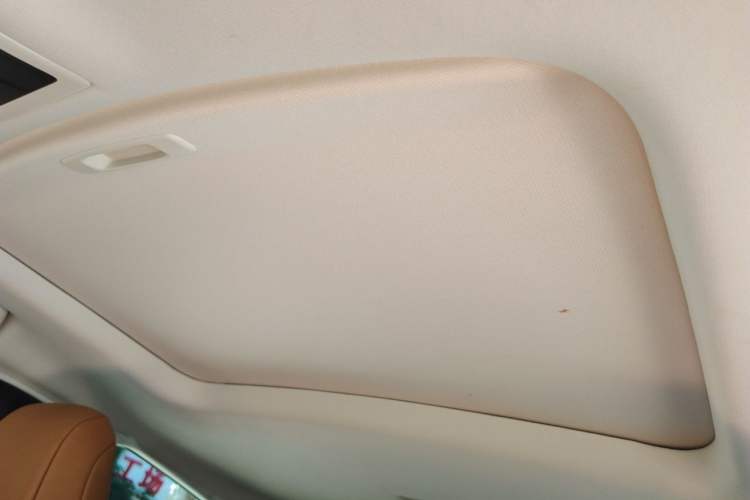 Used Lexus UX New Energy 2020 300e Pure·Joy Edition Headliner