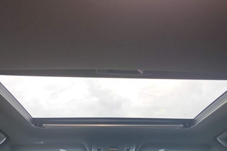 Used Lexus UX New Energy 2020 300e Pure·Joy Edition Headliner