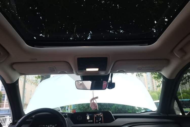 Used Lexus UX New Energy 2020 300e Pure·Enjoy Edition Headliner